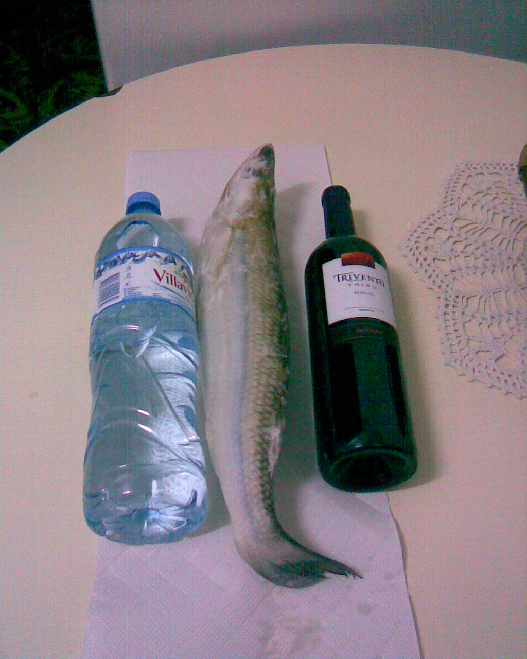 fotos/0000-00-00 - Infancia/Imagen057.jpg